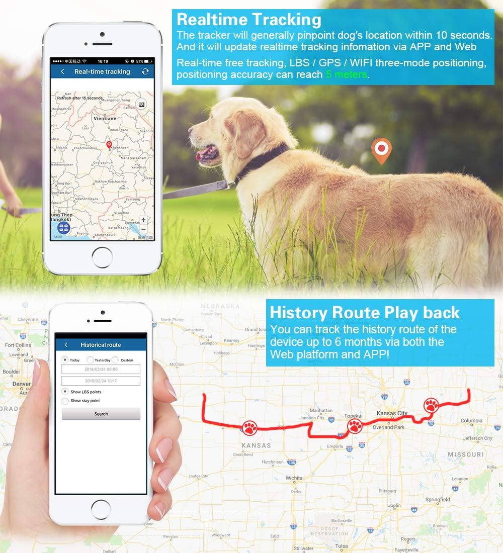 Dog walking 2024 tracker app