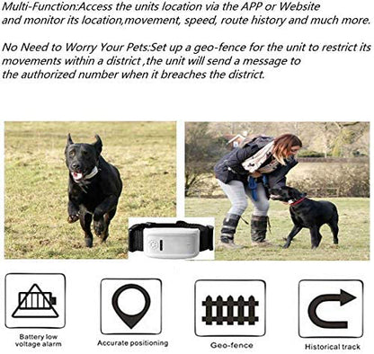 WINNES TK909 GPS Tracker for Pets Real-time Tracking Dog GPS Adjustable Collar Unlimited Range with Geo-fence History Route No Subscription